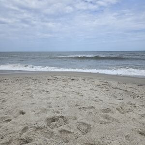 Make Bundles And Offers!!